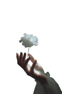Ethereal Hand Flower Vinyl Car Decal Sticker – Waterproof & UV-Resistant 8.96" Ethereal Hand Flower Vinyl Car Decal Sticker – Waterproof & UV-Resistant 8.96"