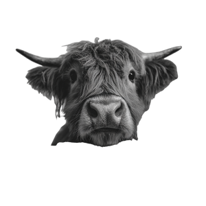 Cow In Bathtub Vinyl Car Decal Sticker – Waterproof & UV-Resistant 3.4133333333333336"