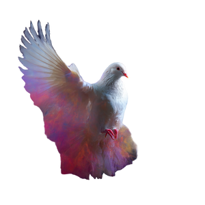 Holy Spirit Dove V18 Vinyl Car Decal Sticker – Waterproof & UV-Resistant 3.4133333333333336"