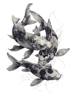 Gothic Koi Fish Vinyl Car Decal Sticker – Waterproof & UV-Resistant 4.0"