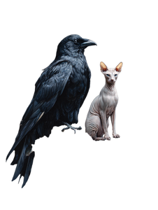 Moody Raven Sphynx Vinyl Car Decal Sticker – Waterproof & UV-Resistant 8.213333333333333"