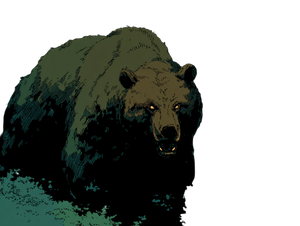 Illustrated Bear Vinyl Car Decal Sticker – Waterproof & UV-Resistant 6.1866666666666665"