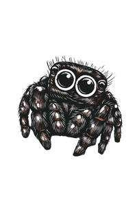 Jumping Spider Art Vinyl Car Decal Sticker – Waterproof & UV-Resistant 8.96"