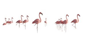 Relaxing Flamingo Landscape Vinyl Car Decal Sticker – Waterproof & UV-Resistant 2.72"