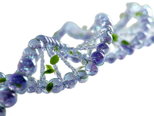 Glass Dna Helix Vinyl Car Decal Sticker – Waterproof & UV-Resistant 6.1866666666666665"