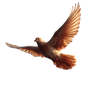 Flying Dove V10 Vinyl Car Decal Sticker – Waterproof & UV-Resistant 3.4133333333333336" Flying Dove V10 Vinyl Car Decal Sticker – Waterproof & UV-Resistant 3.4133333333333336"
