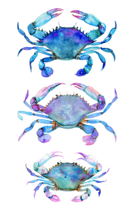 Colorful Blue Crabs Vinyl Car Decal Sticker – Waterproof & UV-Resistant 8.96"