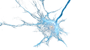 Glowing Neural Cell Vinyl Car Decal Sticker – Waterproof & UV-Resistant 2.72"