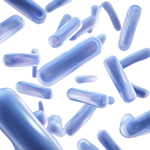 Probiotic Bacteria Macro Vinyl Car Decal Sticker – Waterproof & UV-Resistant 6.826666666666667"