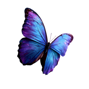Vibrant Cosmic Butterfly Vinyl Car Decal Sticker – Waterproof & UV-Resistant 3.4133333333333336"