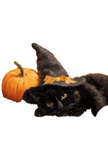 Witch Cat Nap Vinyl Car Decal Sticker – Waterproof & UV-Resistant 4.266666666666667"