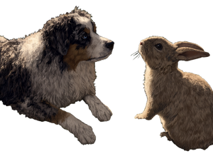 Aussiedoodle And Rabbit Vinyl Car Decal Sticker – Waterproof & UV-Resistant 6.1866666666666665"