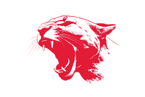 Cougar Roar Graffiti Vinyl Car Decal Sticker – Waterproof & UV-Resistant 5.97333333333333