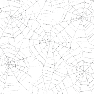 White Spider Web V2 Vinyl Car Decal Sticker – Waterproof & UV-Resistant 3.4133333333333336"