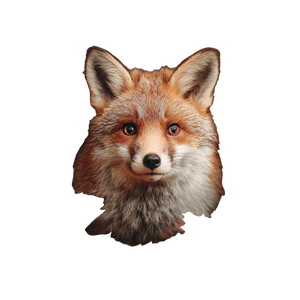 Cute Fox V5 Vinyl Car Decal Sticker – Waterproof & UV-Resistant 3.4133333333333336" Cute Fox V5 Vinyl Car Decal Sticker – Waterproof & UV-Resistant 3.4133333333333336"