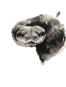 Whimsical Ink Snake Vinyl Car Decal Sticker – Waterproof & UV-Resistant 8.213333333333333"