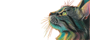 Coloring Cat Vinyl Car Decal Sticker – Waterproof & UV-Resistant 2.453333333333333"