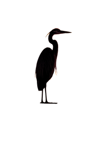 Silhouetted Heron Vinyl Car Decal Sticker – Waterproof & UV-Resistant 4.4