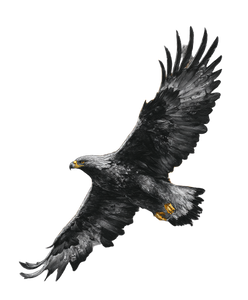 Golden Eagle Tattoo V2 Vinyl Car Decal Sticker – Waterproof & UV-Resistant 8.0" Golden Eagle Tattoo V2 Vinyl Car Decal Sticker – Waterproof & UV-Resistant 8.0"