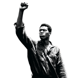 Civil Rights Protestor Vinyl Car Decal Sticker – Waterproof & UV-Resistant 6.826666666666667"
