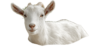 Serene Goat Scene Vinyl Car Decal Sticker – Waterproof & UV-Resistant 5.4
