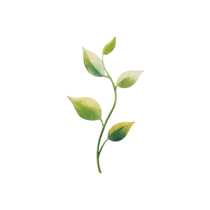 Sprouting Plant Icon Vinyl Car Decal Sticker – Waterproof & UV-Resistant 3.4133333333333336"