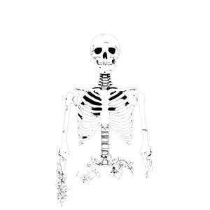 Skeleton Floral Silhouette Vinyl Car Decal Sticker – Waterproof & UV-Resistant 6.826666666666667" Skeleton Floral Silhouette Vinyl Car Decal Sticker – Waterproof & UV-Resistant 6.826666666666667"