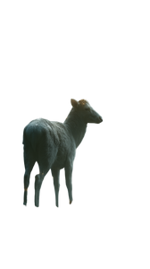 Celestial Deer Vinyl Car Decal Sticker – Waterproof & UV-Resistant 9.706666666666667"