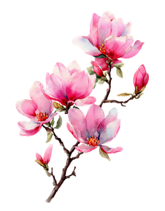 Pink Magnolia Flowers V2 Vinyl Car Decal Sticker – Waterproof & UV-Resistant 8.32"