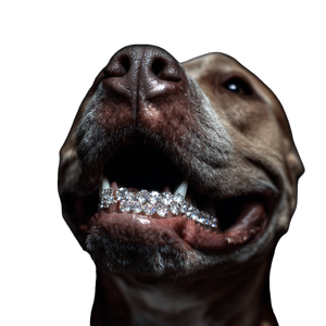Diamond-Toothed Pitbull Vinyl Car Decal Sticker – Waterproof & UV-Resistant 3.4133333333333336"