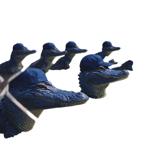 Alligators In Hats Vinyl Car Decal Sticker – Waterproof & UV-Resistant 3.4133333333333336"