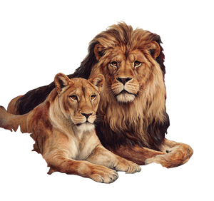 Romantic Lions Vinyl Car Decal Sticker – Waterproof & UV-Resistant 6.826666666666667"