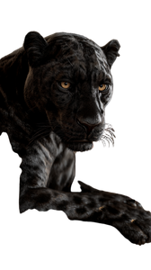 Majestic Panther Throne Vinyl Car Decal Sticker – Waterproof & UV-Resistant 9.706666666666667"