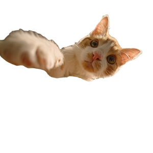 Curious Cat And Goldfish Vinyl Car Decal Sticker – Waterproof & UV-Resistant 3.4133333333333336"