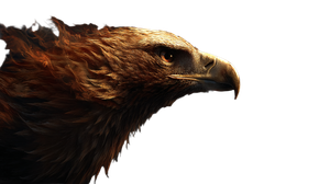 Fiery Soaring Eagle Vinyl Car Decal Sticker – Waterproof & UV-Resistant 2.72"
