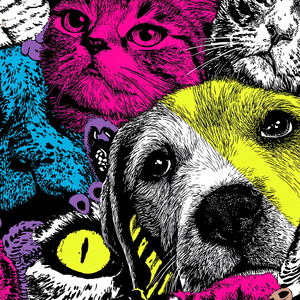 Hip-Hop Pet Patterns Vinyl Car Decal Sticker – Waterproof & UV-Resistant 6.826666666666667"