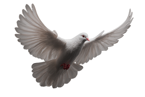White Dove Flying V27 Vinyl Car Decal Sticker – Waterproof & UV-Resistant 5.97333333333333