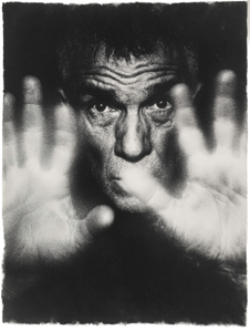 Dramatic Moving Palms Vinyl Car Decal Sticker – Waterproof & UV-Resistant 8.213333333333333"