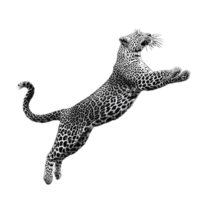 Leaping Leopard V6 Vinyl Car Decal Sticker – Waterproof & UV-Resistant 6.826666666666667"