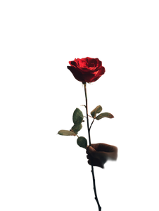 Red Rose Love Vinyl Car Decal Sticker – Waterproof & UV-Resistant 4.1066666666666665" Red Rose Love Vinyl Car Decal Sticker – Waterproof & UV-Resistant 4.1066666666666665"