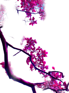Neon Pink Tree Vinyl Car Decal Sticker – Waterproof & UV-Resistant 4.213333333333333" Neon Pink Tree Vinyl Car Decal Sticker – Waterproof & UV-Resistant 4.213333333333333"