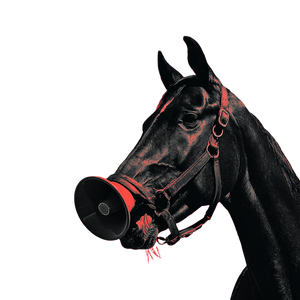 Horse With Megaphone Vinyl Car Decal Sticker – Waterproof & UV-Resistant 3.4133333333333336"
