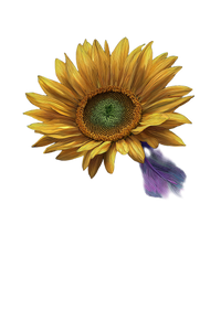 Vibrant Digital Sunflower Vinyl Car Decal Sticker – Waterproof & UV-Resistant 8.96"