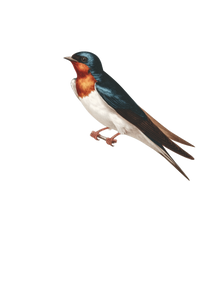 Resting Bird Vinyl Car Decal Sticker – Waterproof & UV-Resistant 8.96"