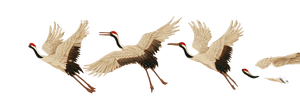 White Cranes Flying V7 Vinyl Car Decal Sticker – Waterproof & UV-Resistant 4.266666666666667"