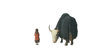 Girl With Yak Vinyl Car Decal Sticker – Waterproof & UV-Resistant 2.72"
