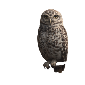Owl On Wand Vinyl Car Decal Sticker – Waterproof & UV-Resistant 6.826666666666667"