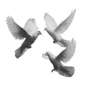 White Doves Flying V7 Vinyl Car Decal Sticker – Waterproof & UV-Resistant 6.826666666666667"