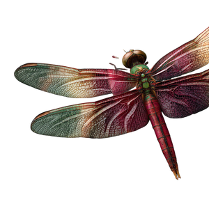Dragonfly On Leaf Vinyl Car Decal Sticker – Waterproof & UV-Resistant 6.826666666666667"