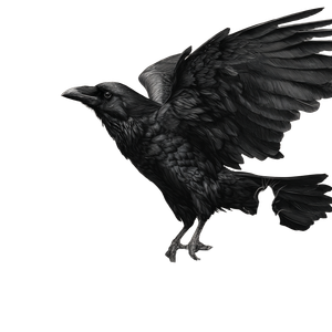 Hyper Realistic Raven Vinyl Car Decal Sticker – Waterproof & UV-Resistant 3.4133333333333336"
